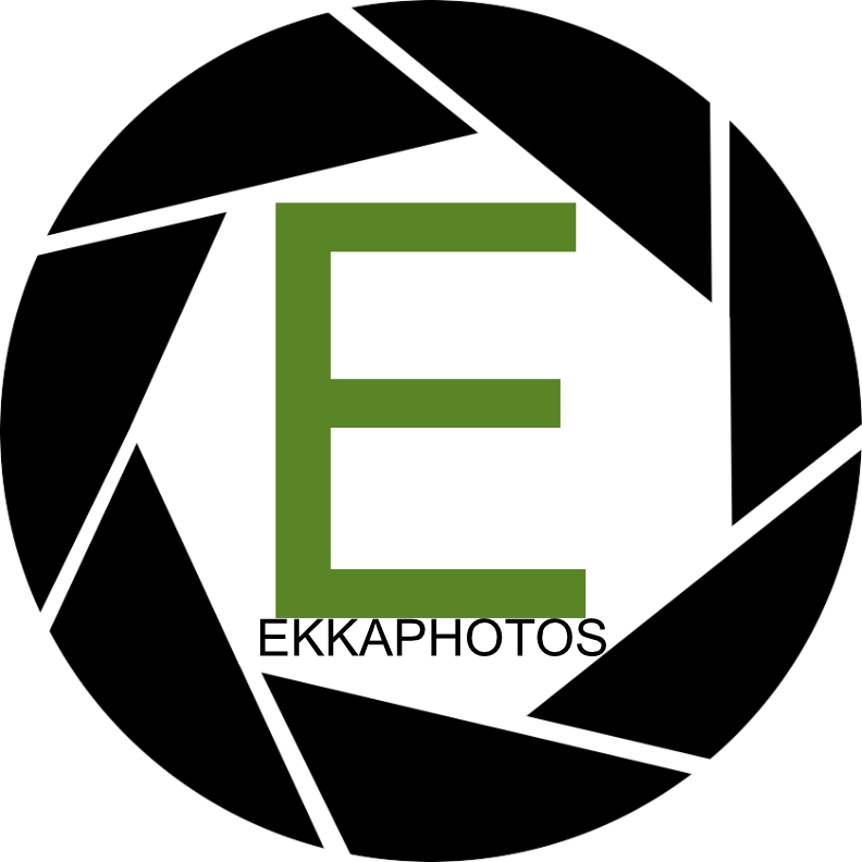 Ekka Photos
